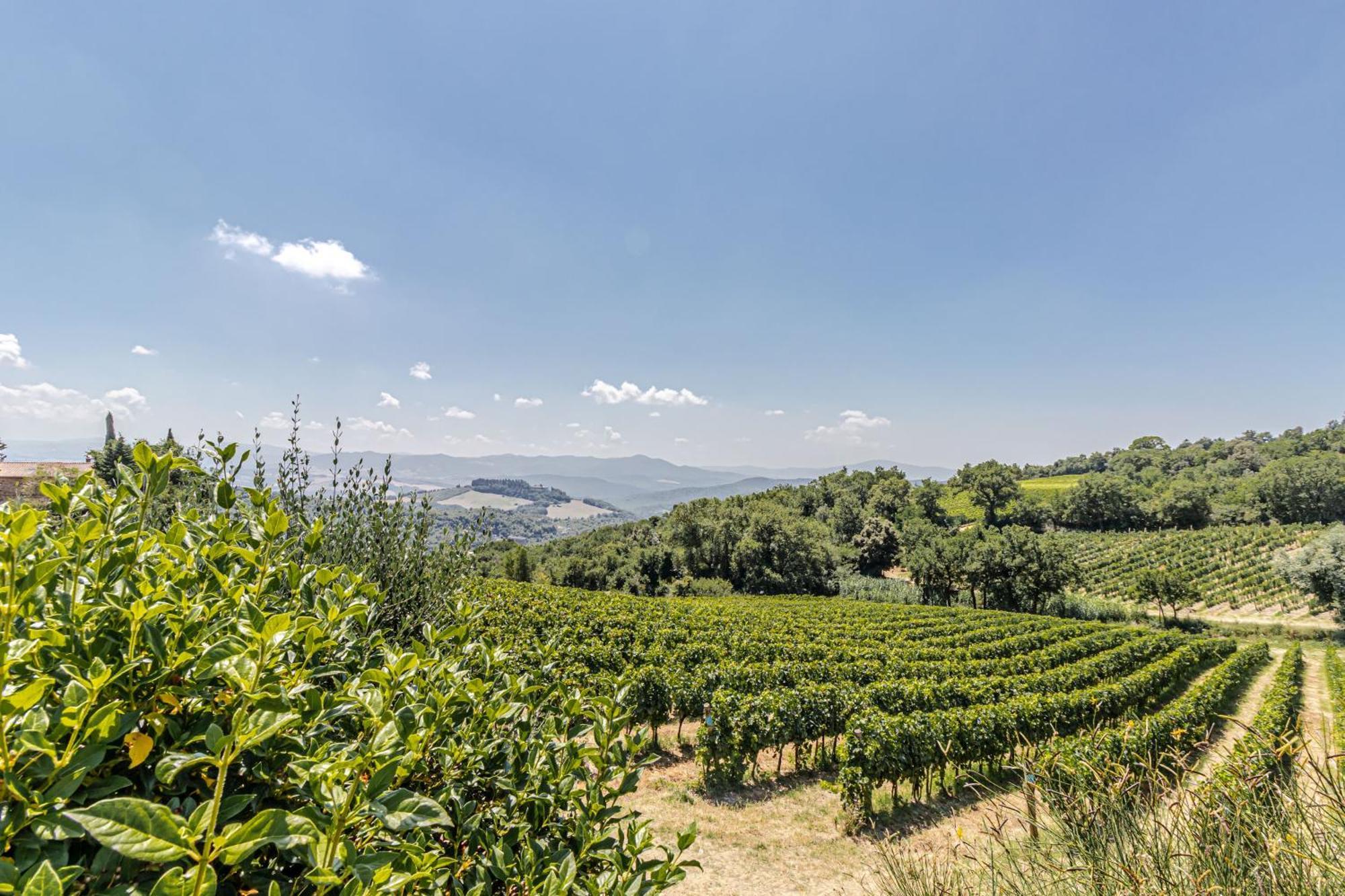 Chateau La Siroque Montecatini Val di Cecina Exterior foto